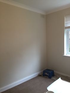 empty room with white walls and carpeted flooring in front of the window is a blue toolbox