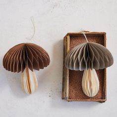 two brown and white paper flowers in a box