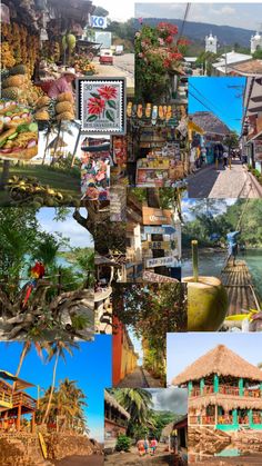 a collage of pictures with houses and trees