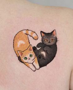 two cats on the back of a woman's shoulder, one with green eyes