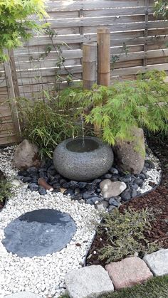 a garden with rocks and plants in it