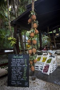 there are many pineapples hanging from the tree in front of a sign that says,