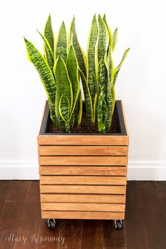 a wooden planter filled with green plants on top of a hard wood floor