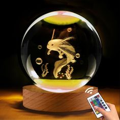 a hand holding a remote control next to a glass ball with an image of a fish in it