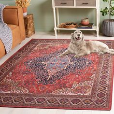 a dog laying on top of a rug in a living room