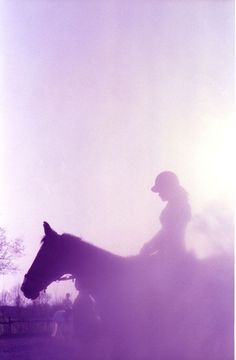 a person riding on the back of a horse in foggy weather with trees behind them