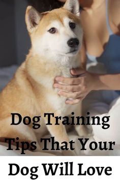 a woman petting a dog with the words dog training tips that your dog will love