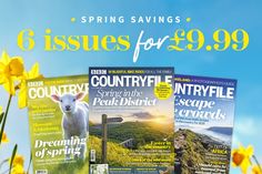 the front and back covers of magazines with yellow flowers in the foreground on a sunny day