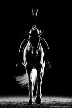 a black and white photo of a person riding a horse in the dark with feathers on its back