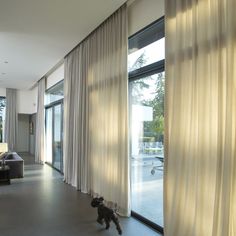 a dog is walking in front of the sliding glass doors that lead to the living room