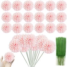 pink flowers and green stems are arranged next to each other on a white background with one hand reaching for the flower