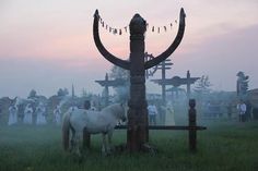 a white horse standing next to a wooden pole on top of a lush green field