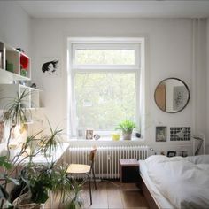 a bedroom with a bed, window and plants on the shelves in front of it