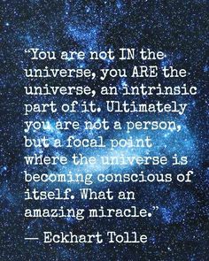 an image with the quote you are not in the universe, you are the universal part of it