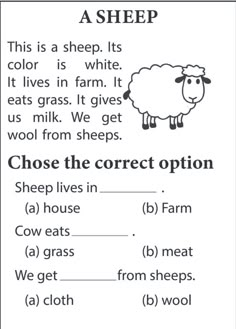 A sheep. Read  and choose the correct answer . easy reading worksheet Easy Comprehension Worksheets, Short Reading Story To Answer Wh Question Words For Kindergarten, Read And Answer Worksheet, Sheep Worksheet, Reading Comprehension Preschool, Picture Comprehension For Class 1, Reading For Preschoolers, Phonics Worksheets First Grade Reading Comprehension, Reading Comprehension Worksheets Grade 1