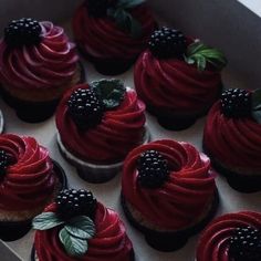 red velvet cupcakes with blackberries on top