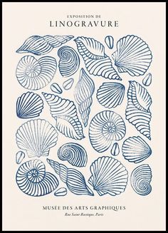 the front cover of an art book with blue sea shells and spirals on it