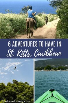 people are riding horses on a trail near the ocean and trees with text overlay that reads 6 adventures to have in st kit's caribbean