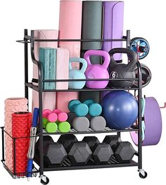 a rack filled with lots of different types of dumbs and exercise balls on top of each other