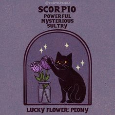 a black cat sitting next to a vase with flowers in it and the caption scorpio powerful mysterious sultry lucky flower poony