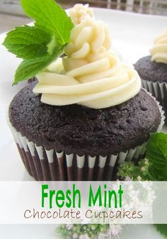 two chocolate cupcakes with white frosting and green leaves on top, sitting on a plate