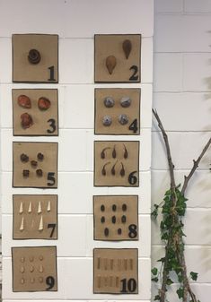 the wall is decorated with different types of seashells and numbers on cardboard boards