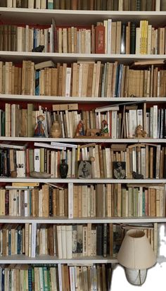 a bookshelf filled with lots of books next to a lamp