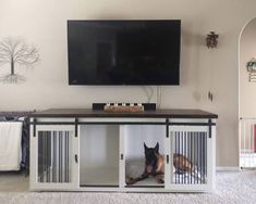 a tv mounted to the side of a wall next to a dog kennel with two dogs in it