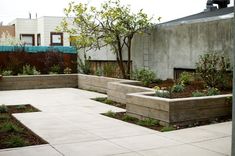 an outdoor garden with concrete planters and trees