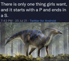 there is only one thing girls want, and it starts with a p and ends in s