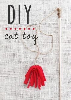 the diy cat toy is made with yarn and thread, along with a knitting needle