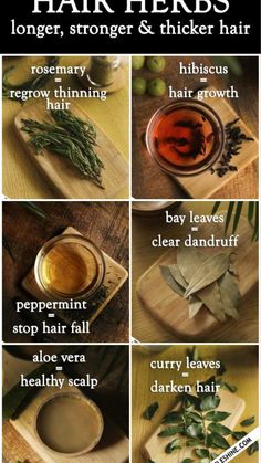 Hair Herbs, Regrow Thinning Hair, How To Darken Hair, Hair Growth Secrets, Homemade Hair