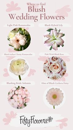 a pink poster with flowers on it and the words, where to find blush wedding flowers