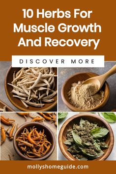 the top ten herbs for muscle growth and recovery