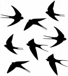 black and white silhouettes of birds flying in the sky with long beaks on their wings