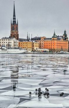 the water is frozen and there are buildings in the background