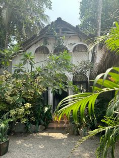 a white house surrounded by trees and plants