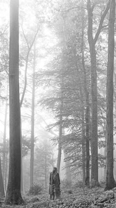 black and white photograph of two people walking through the woods on a foggy day