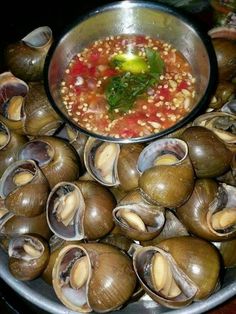 a bowl filled with lots of clams on top of a table