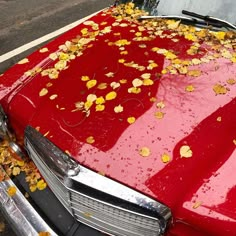 a red car with yellow leaves on the hood