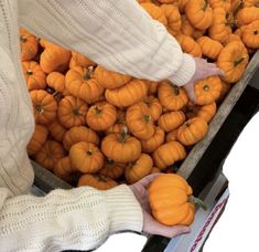 a person reaching for small pumpkins in a bin