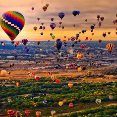 many hot air balloons are flying in the sky above trees and land, while another balloon is seen in the distance