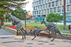 two statues of kangaroos in the middle of a park