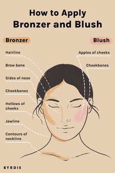 Apply Bronzer, Matte Make Up, How To Apply Bronzer, Face Contouring Makeup, Makeup Order, Simple Makeup Tips, Makeup Face Charts, How To Apply Blush