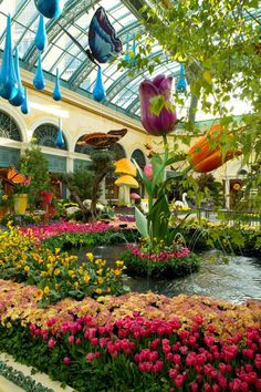 the inside of a flower shop filled with lots of colorful flowers and umbrellas hanging from the ceiling