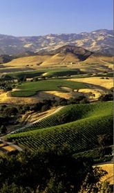 an aerial view of the rolling hills and valleys