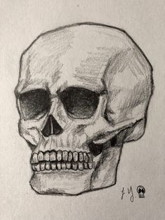 a drawing of a human skull