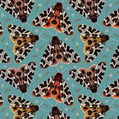 an image of a butterfly pattern on a blue background with white and brown flowers in the middle