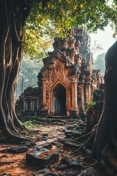 an old temple surrounded by trees in the jungle with sun shining on it's face