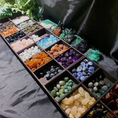 many different colored rocks and stones are arranged on a black tablecloth with green plants in the background